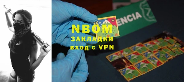шишки Переславль-Залесский